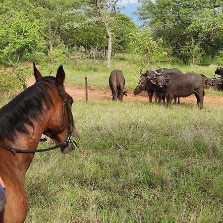 Вилла Wild Ride Safaris And Bush Camp Худспрут Экстерьер фото