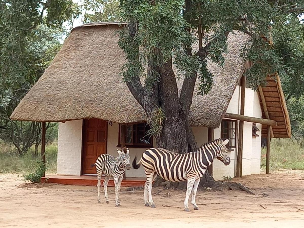 Вилла Wild Ride Safaris And Bush Camp Худспрут Экстерьер фото