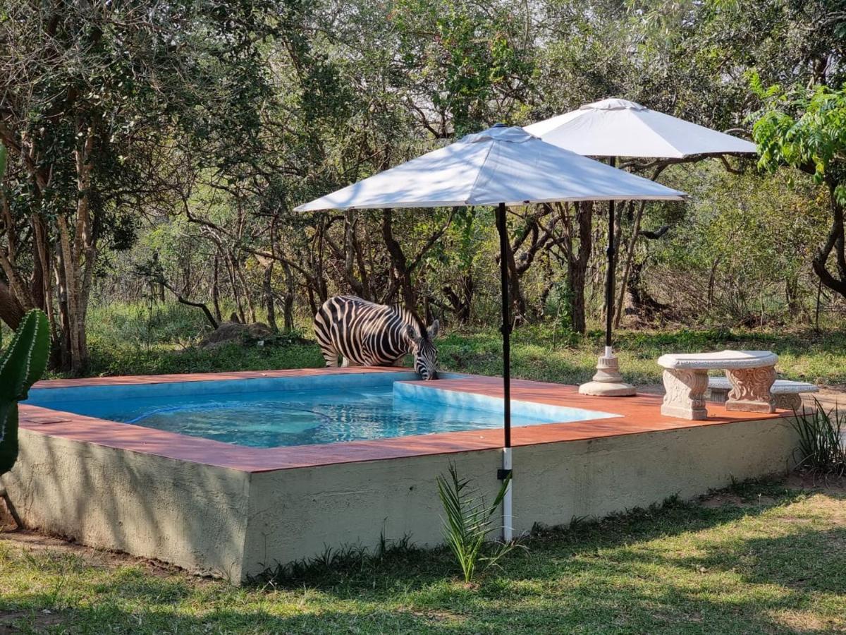 Вилла Wild Ride Safaris And Bush Camp Худспрут Экстерьер фото