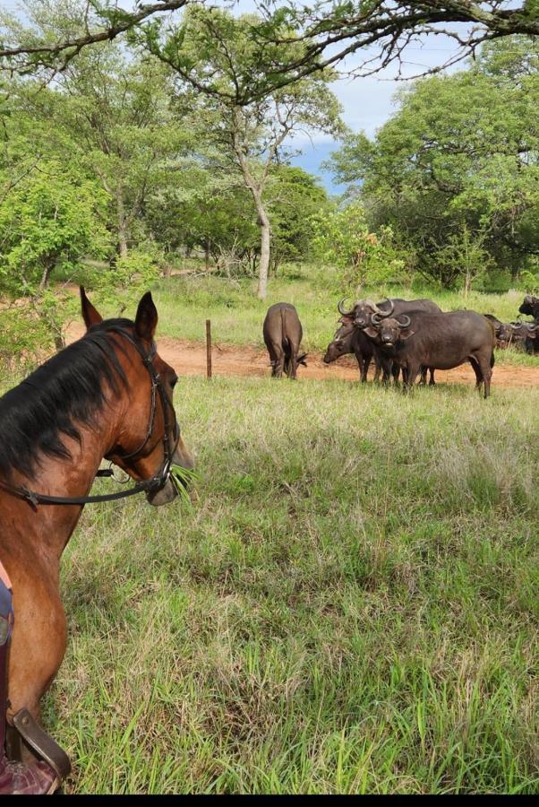 Вилла Wild Ride Safaris And Bush Camp Худспрут Экстерьер фото